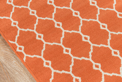 Momeni Baja  Orange  Contemporary