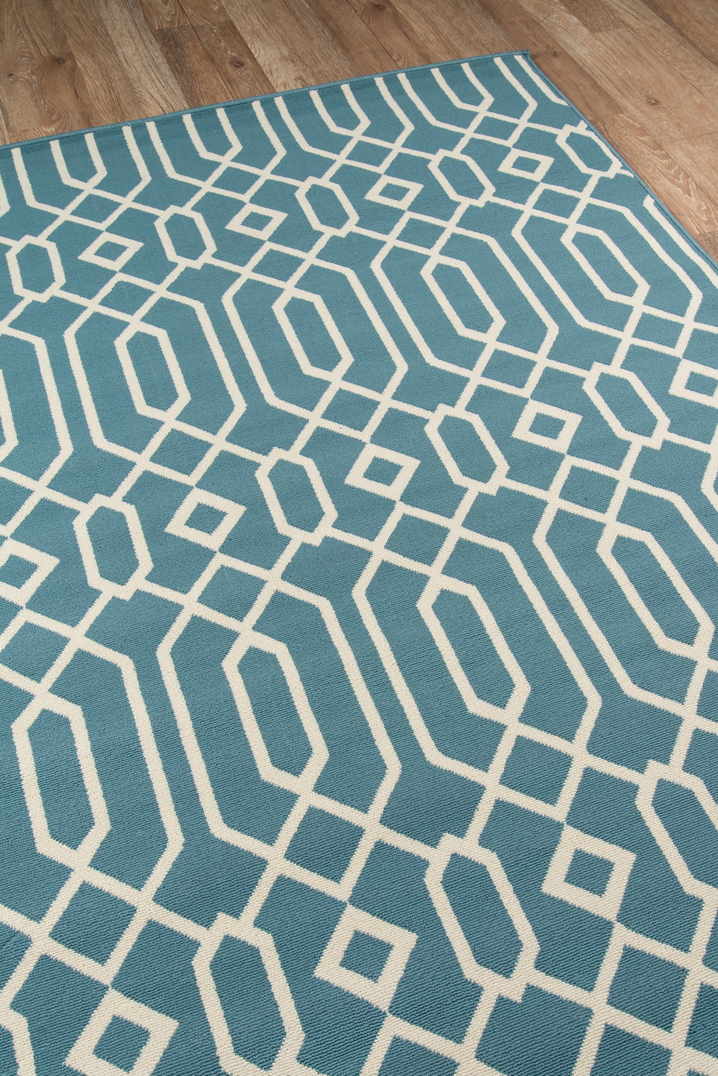 Momeni Baja  Blue  Contemporary