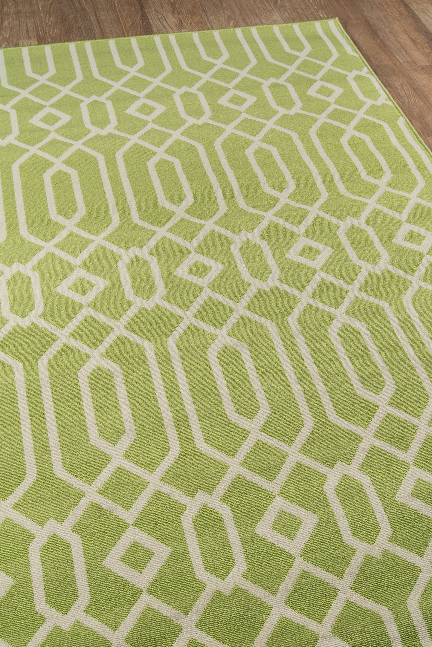 Momeni Baja  Green  Contemporary