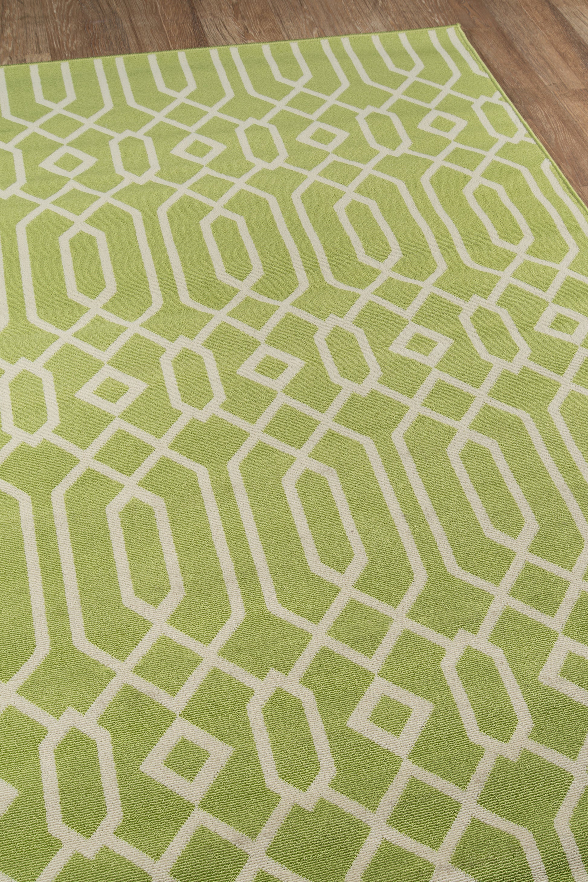 Momeni Baja  Green  Contemporary
