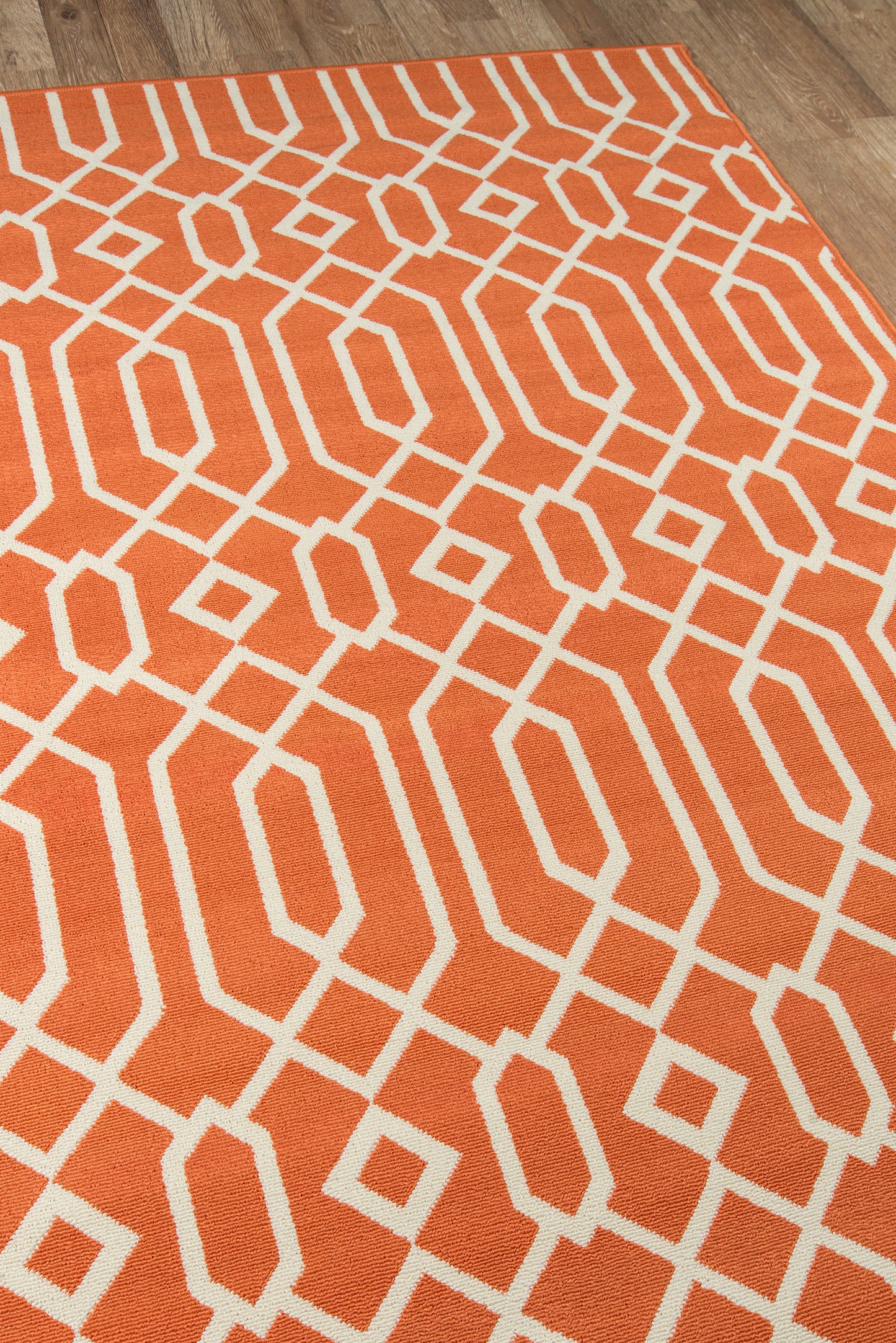 Momeni Baja  Orange  Contemporary