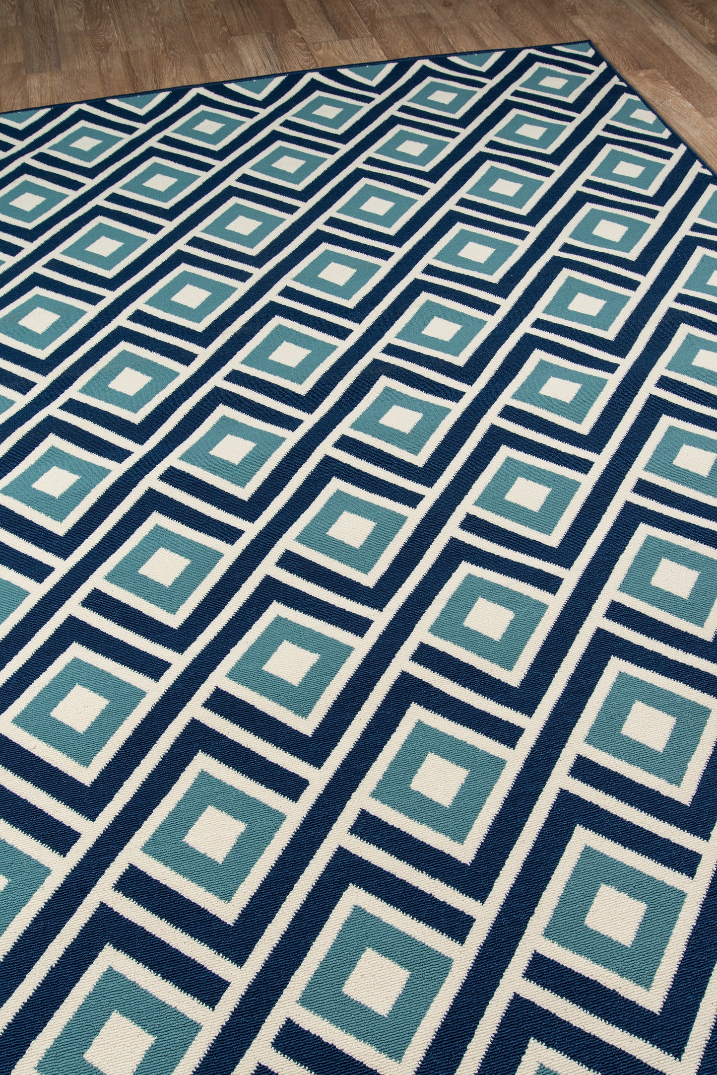 Momeni Baja  Blue  Contemporary