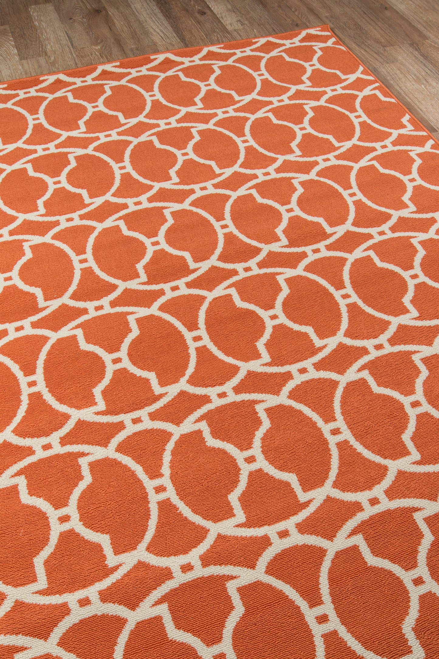 Momeni Baja  Orange  Contemporary