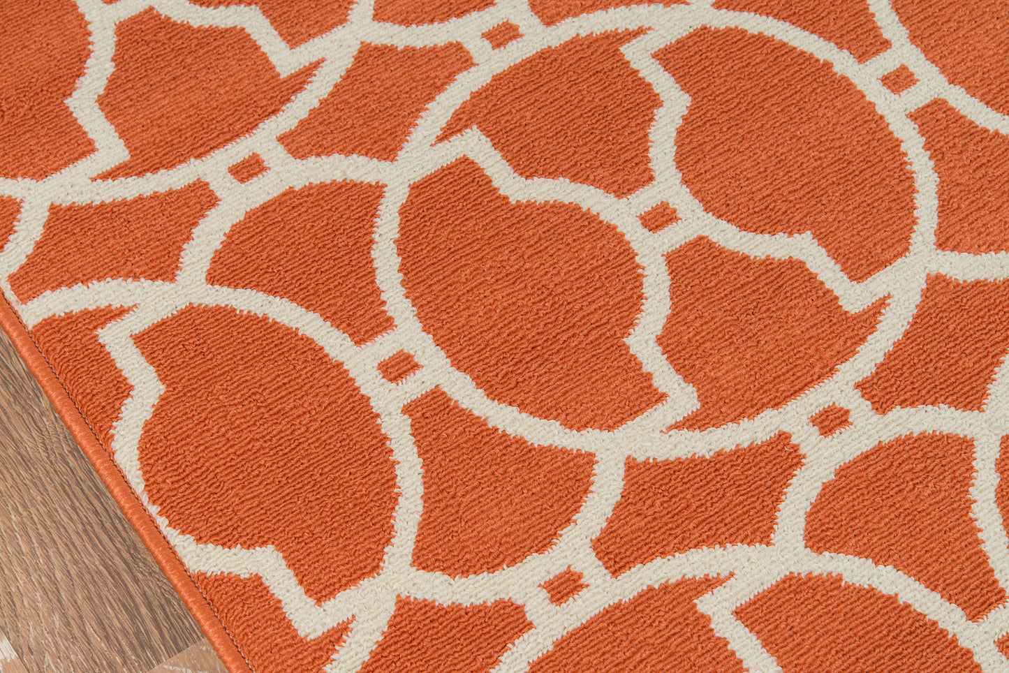 Momeni Baja  Orange  Contemporary