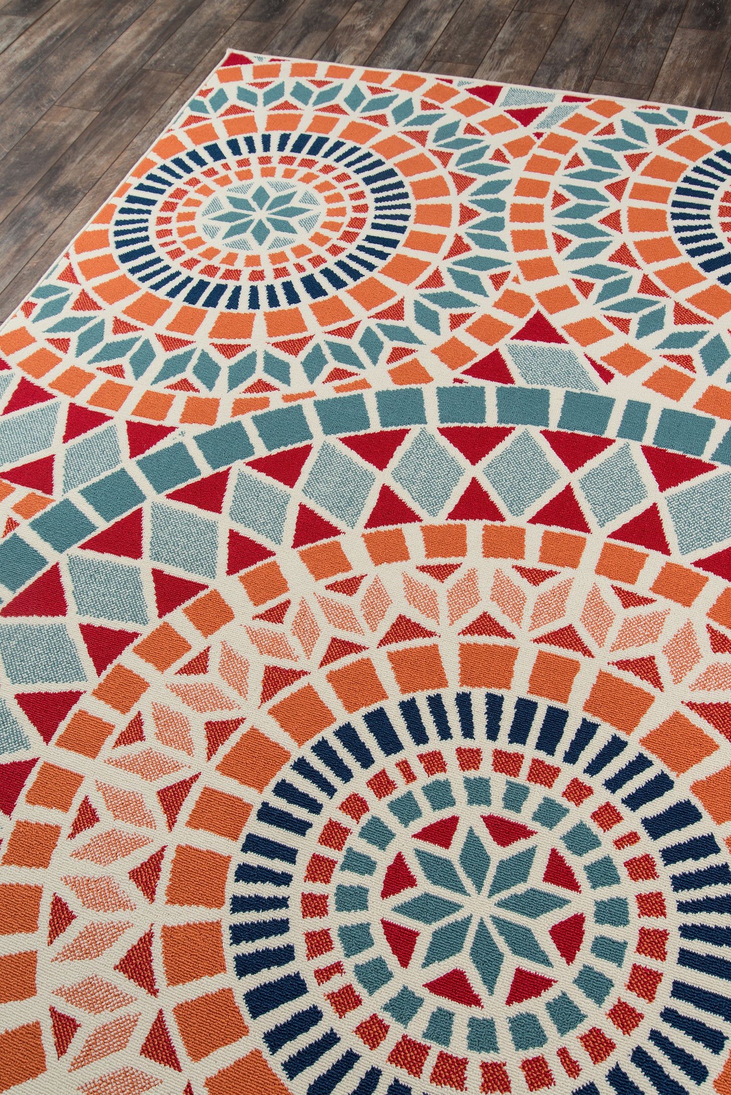 Momeni Baja  Multi  Contemporary