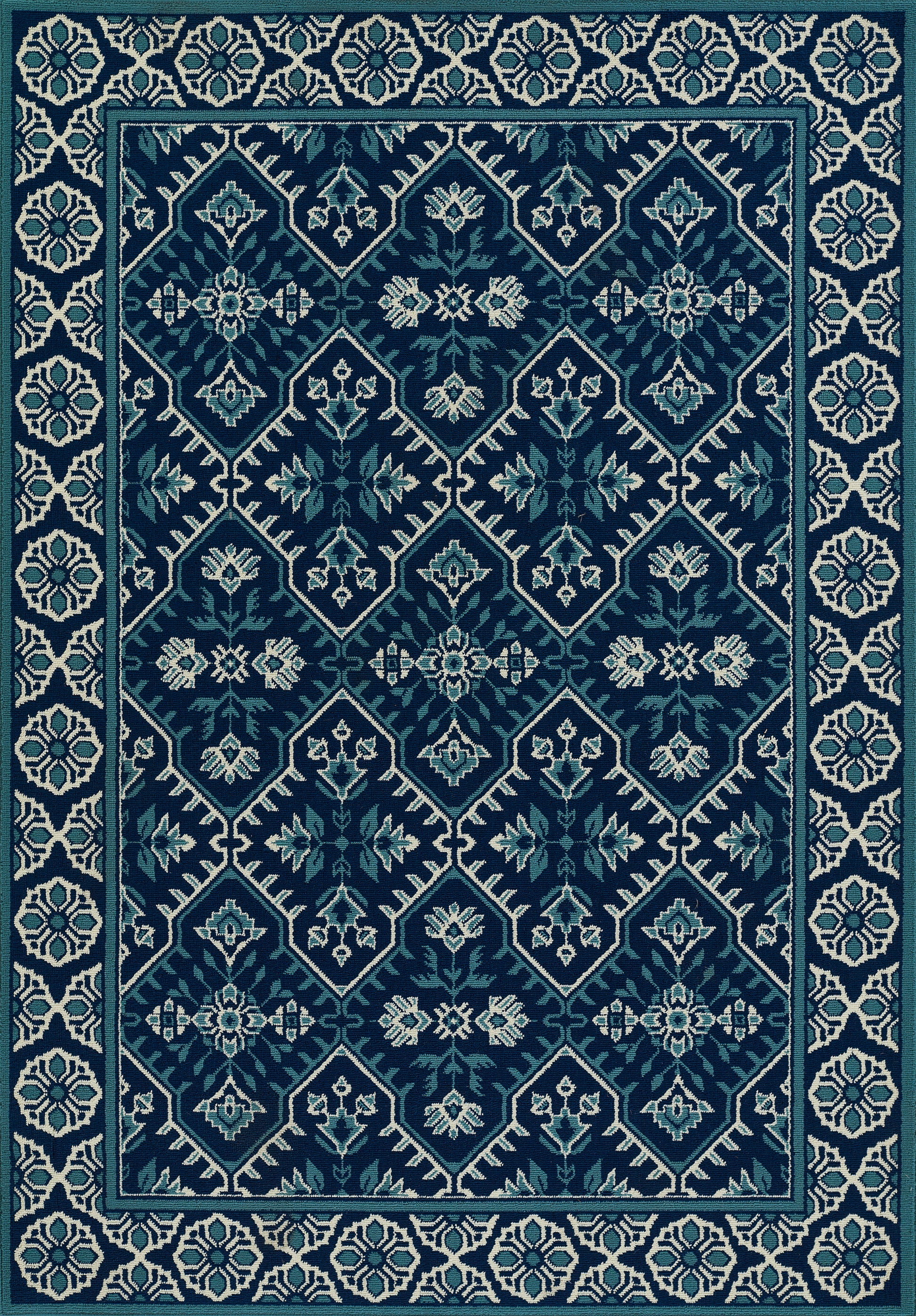 Momeni Baja  Navy  Transitional