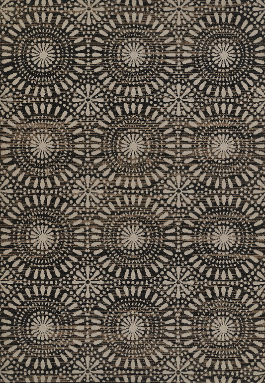 Momeni Baja  Neutral  Transitional