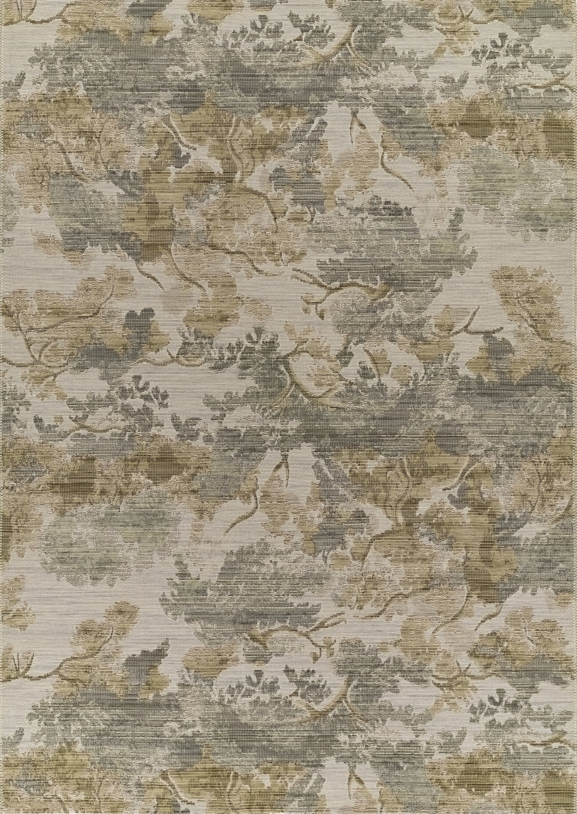 Momeni Barron  Multi  Transitional