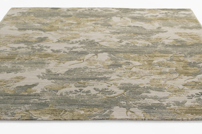 Momeni Barron  Multi  Transitional