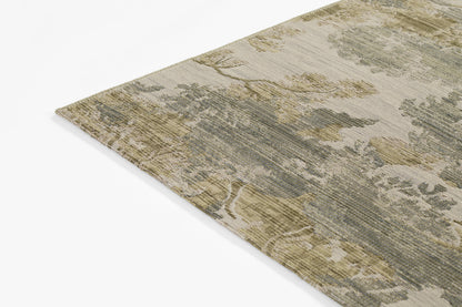 Momeni Barron  Multi  Transitional