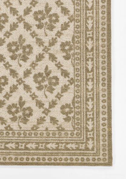 Momeni Bibury  Green  Transitional