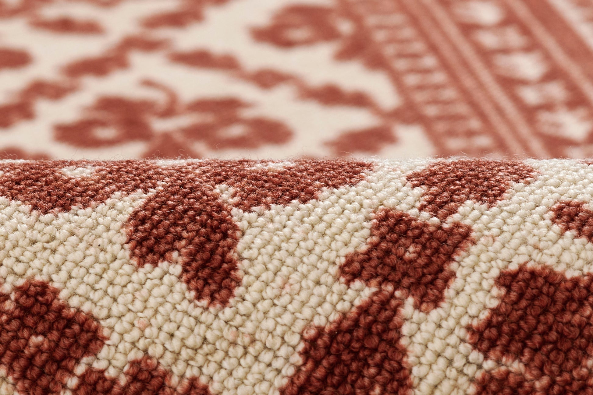 Momeni Bibury  Red  Transitional