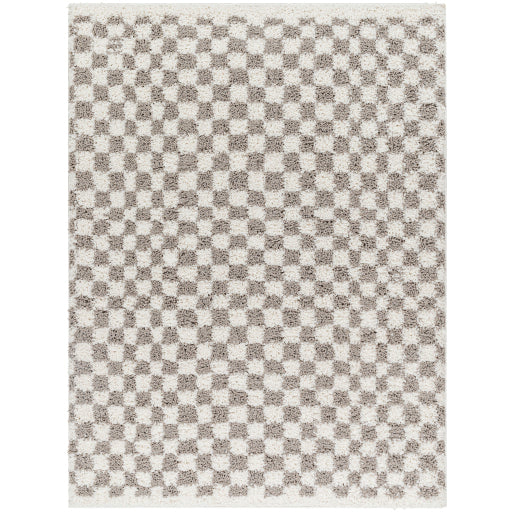 Surya Birmingham BMM-2321 Ivory Modern Machinemade Rug