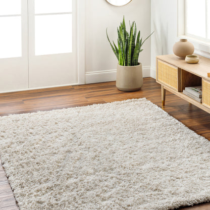Surya Bogota Shag BTG-2302 Cream Modern Machinemade Rug