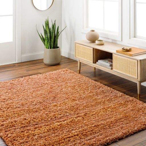 Surya Bogota Shag BTG-2306 Burnt Orange Modern Machinemade Rug