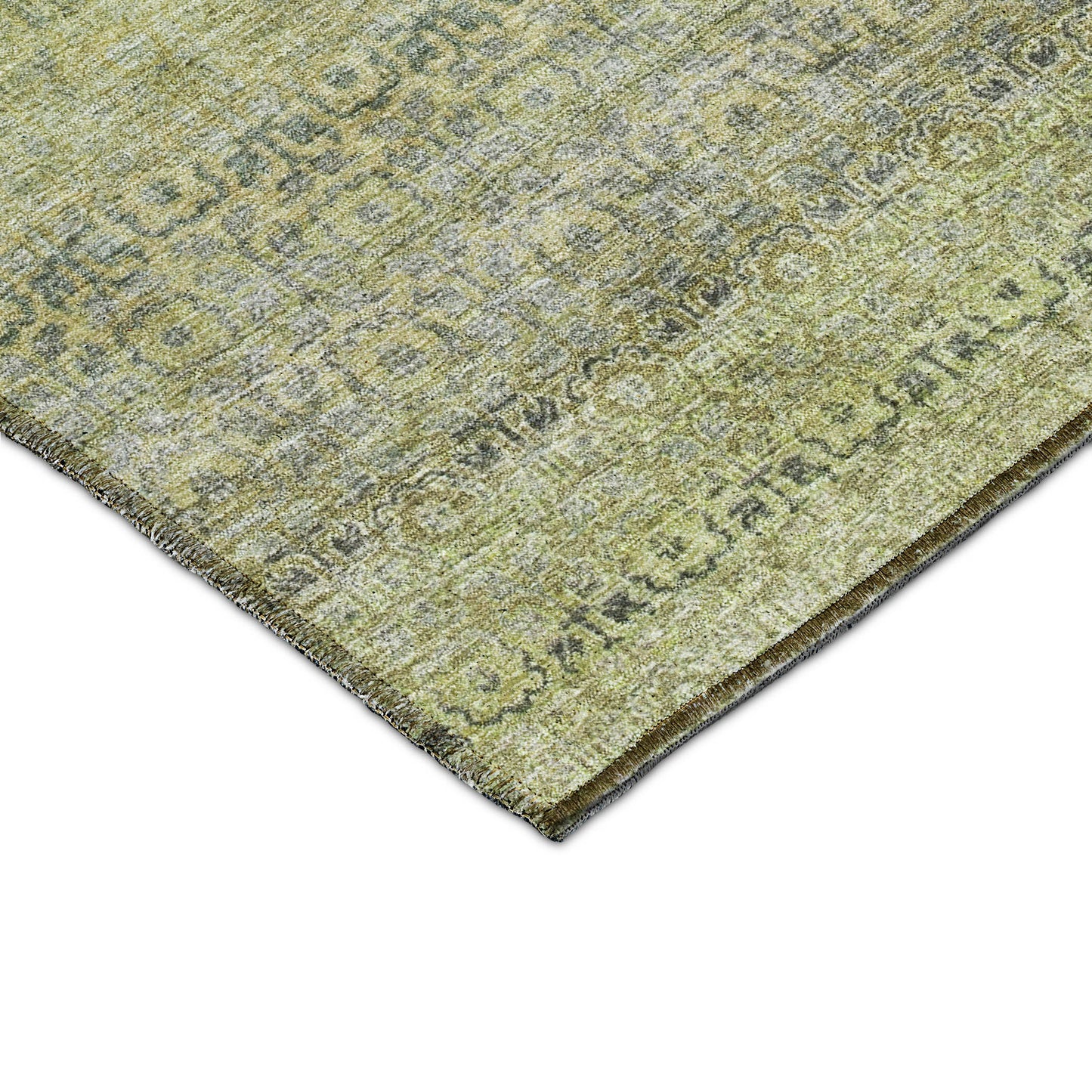 Dalyn Rugs Burano  Aloe  Transitional