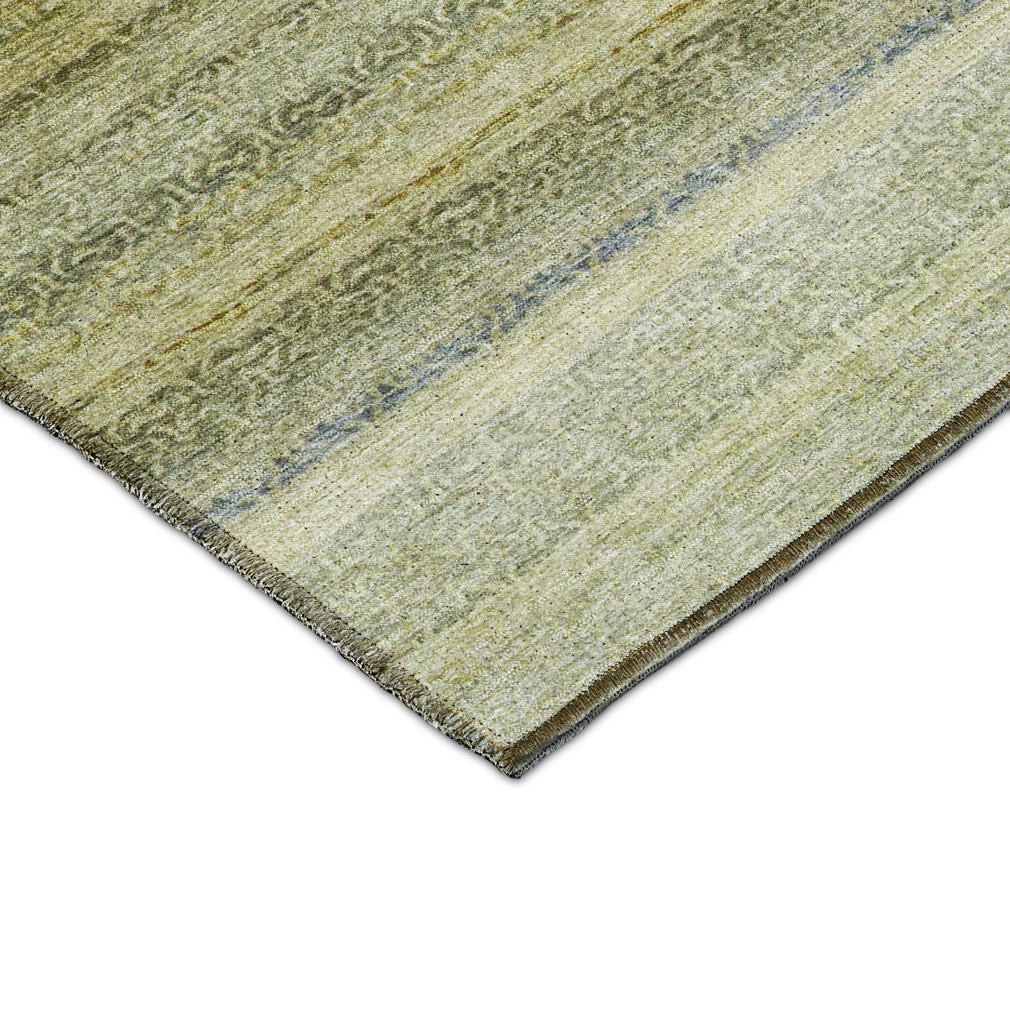 Dalyn Rugs Burano  Aloe  Transitional