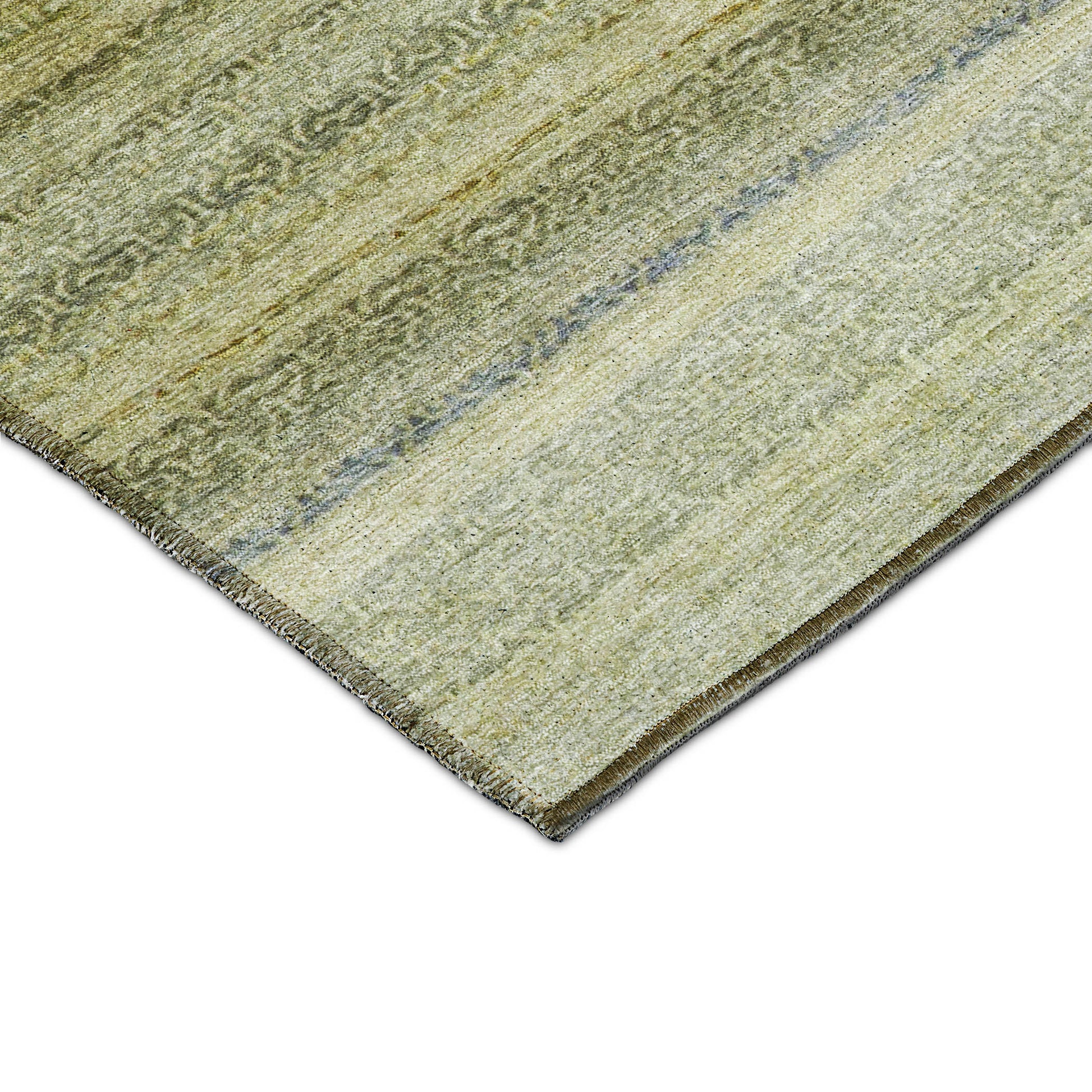 Dalyn Rugs Burano  Aloe  Transitional