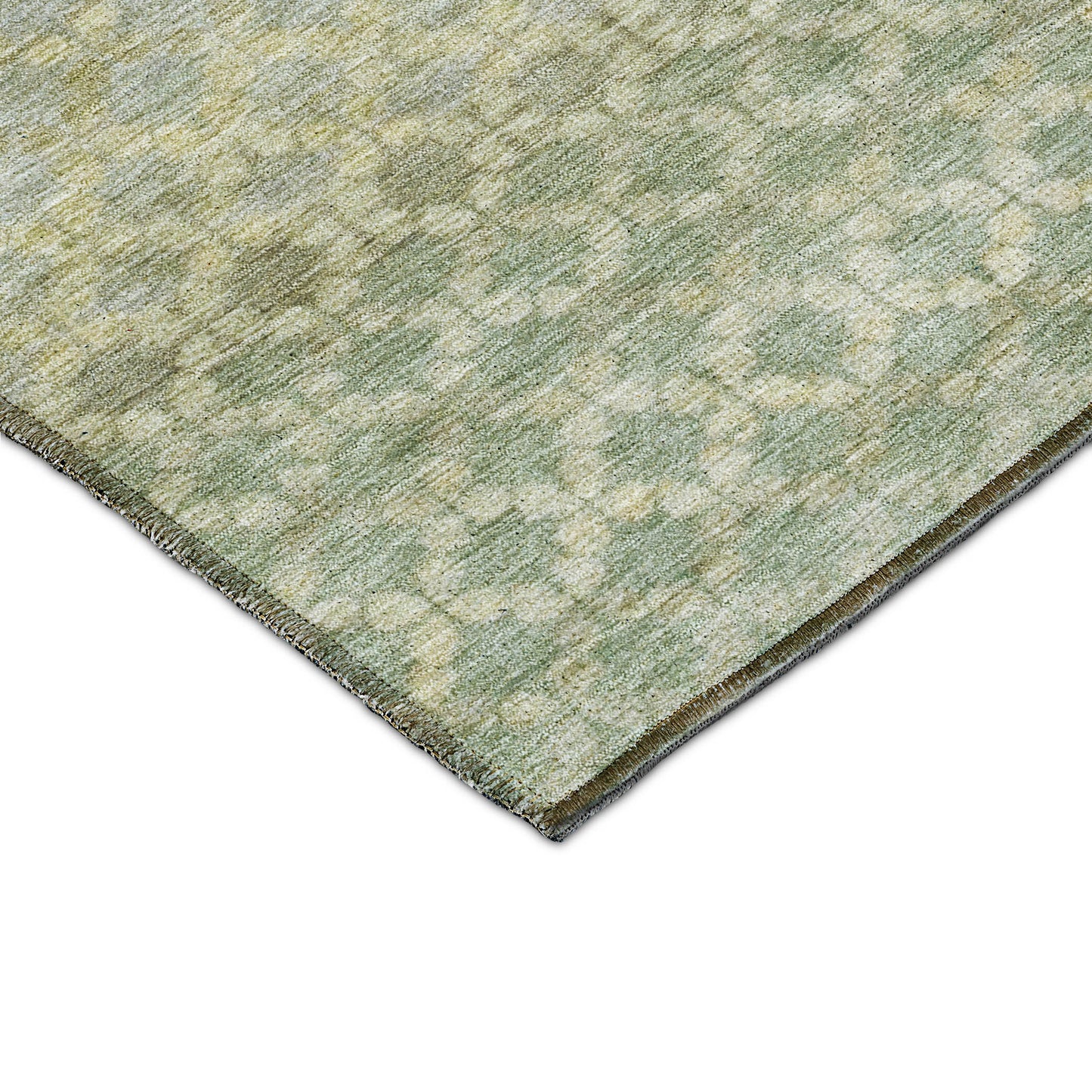 Dalyn Rugs Burano  Aloe  Transitional