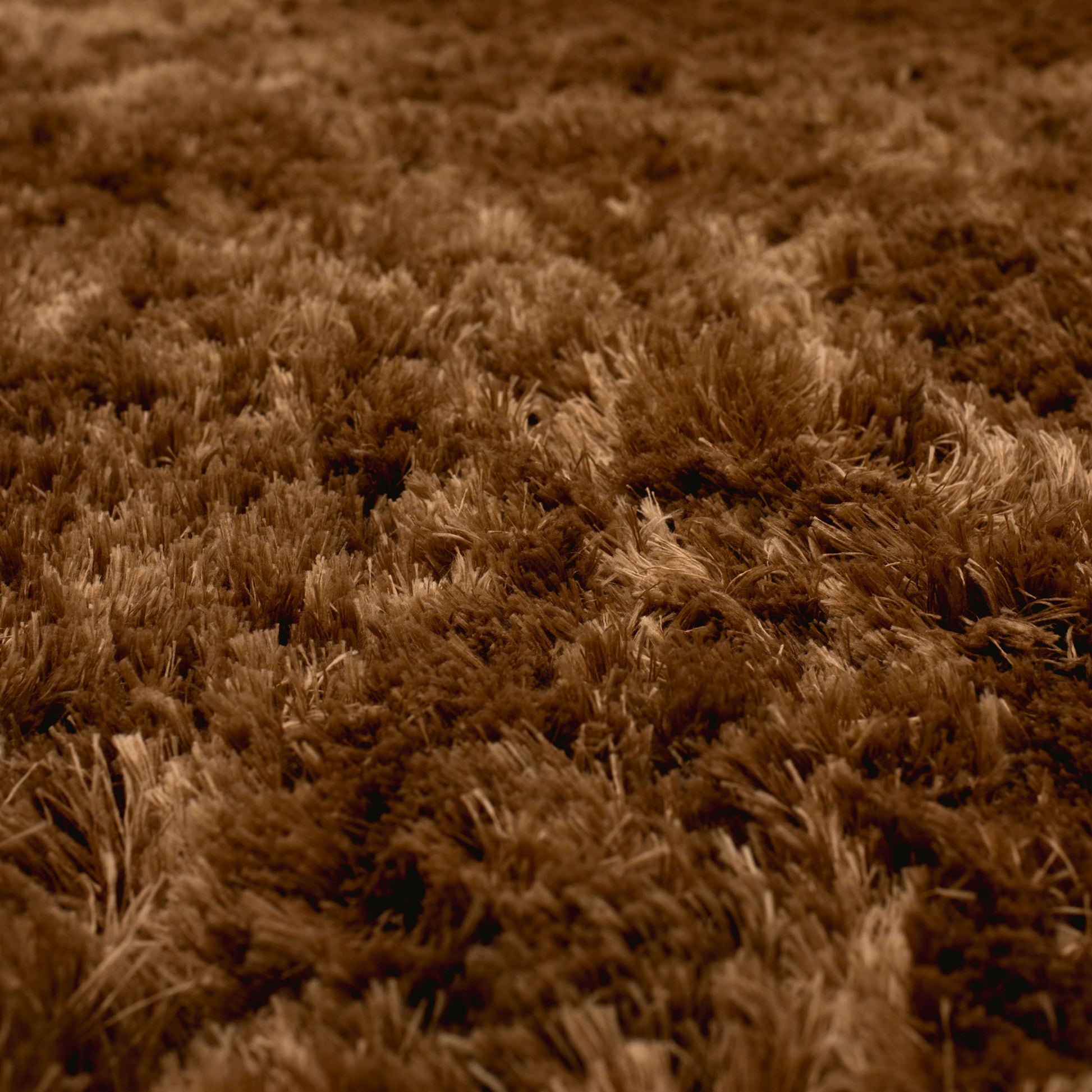 Karastan Billow Shag  Rust  Transitional