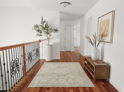 Momeni Cambridge  Cream  Traditional