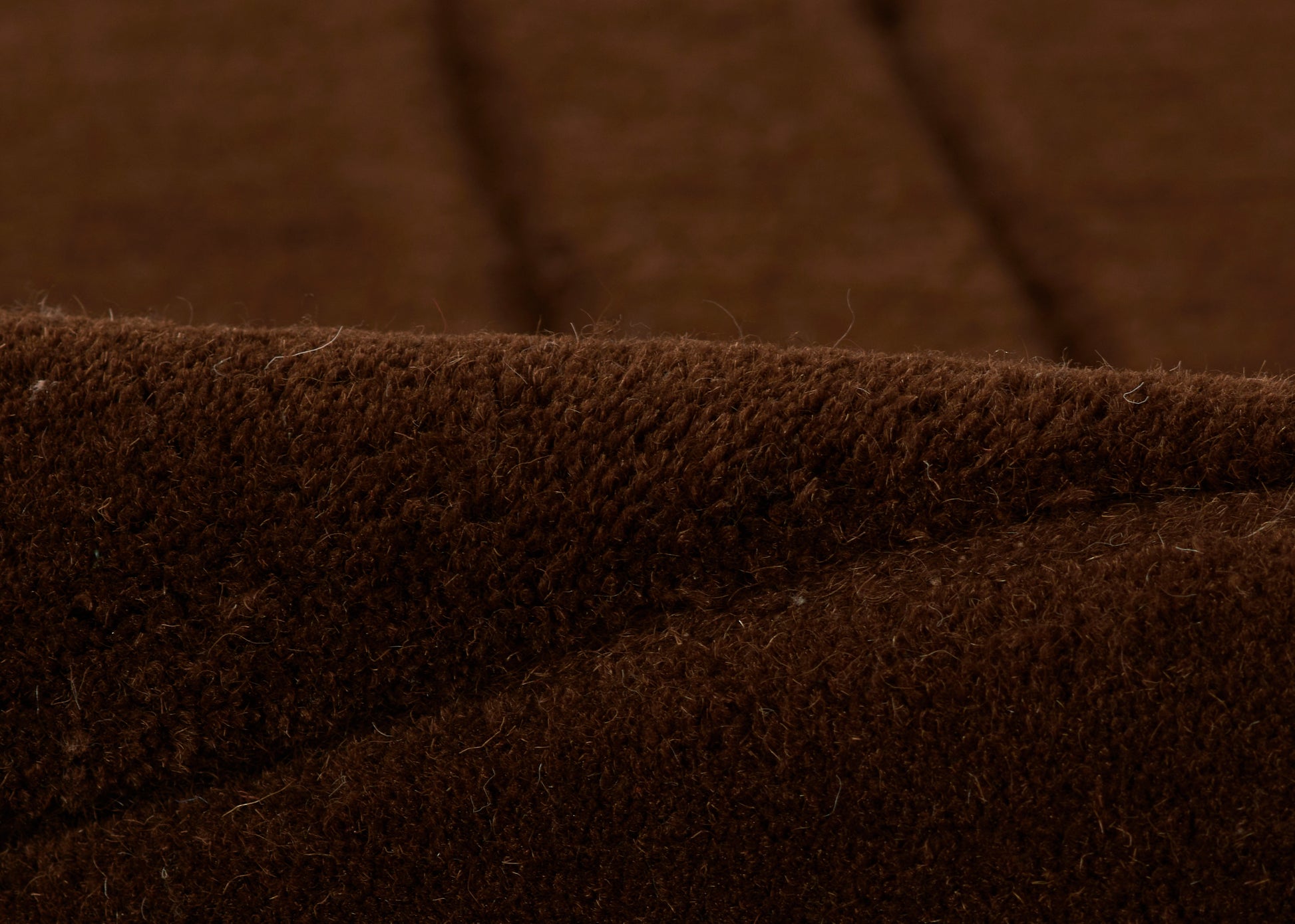 Momeni Canyon  Brown  Contemporary