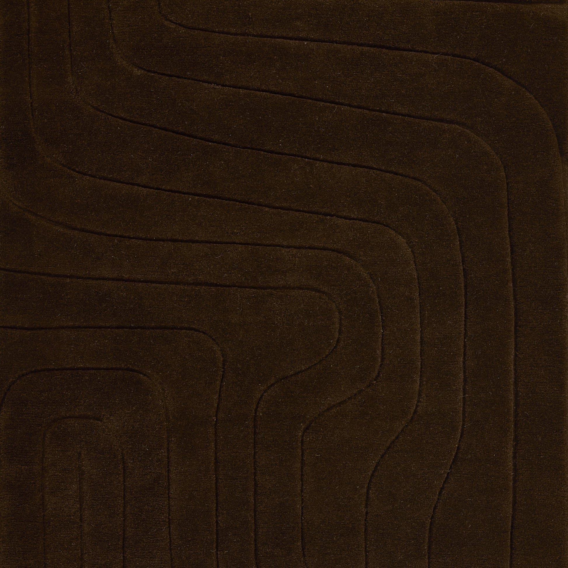 Momeni Canyon  Brown  Contemporary