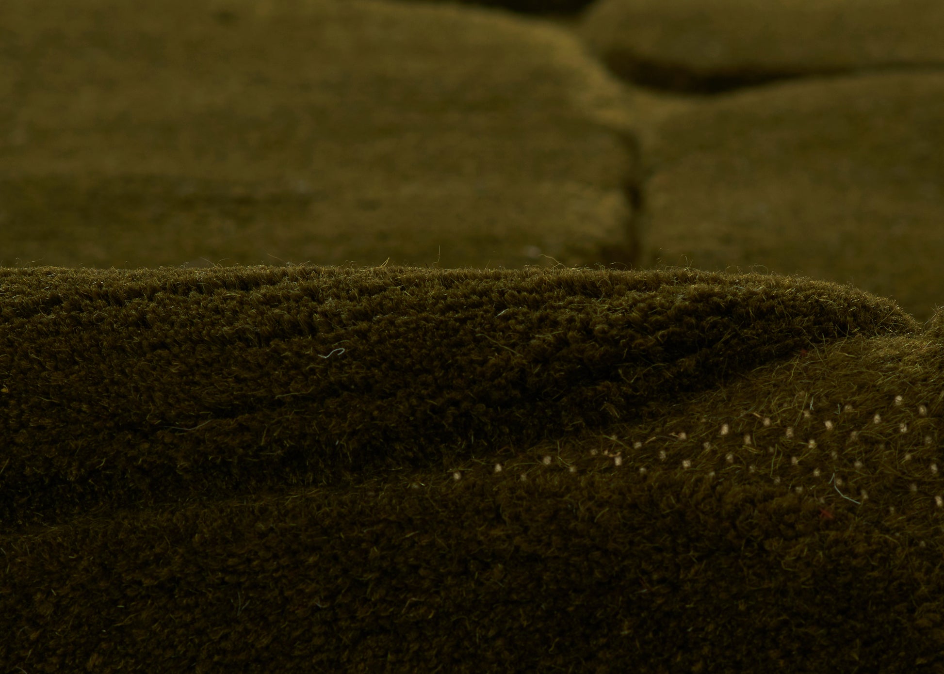 Momeni Canyon  Green  Contemporary