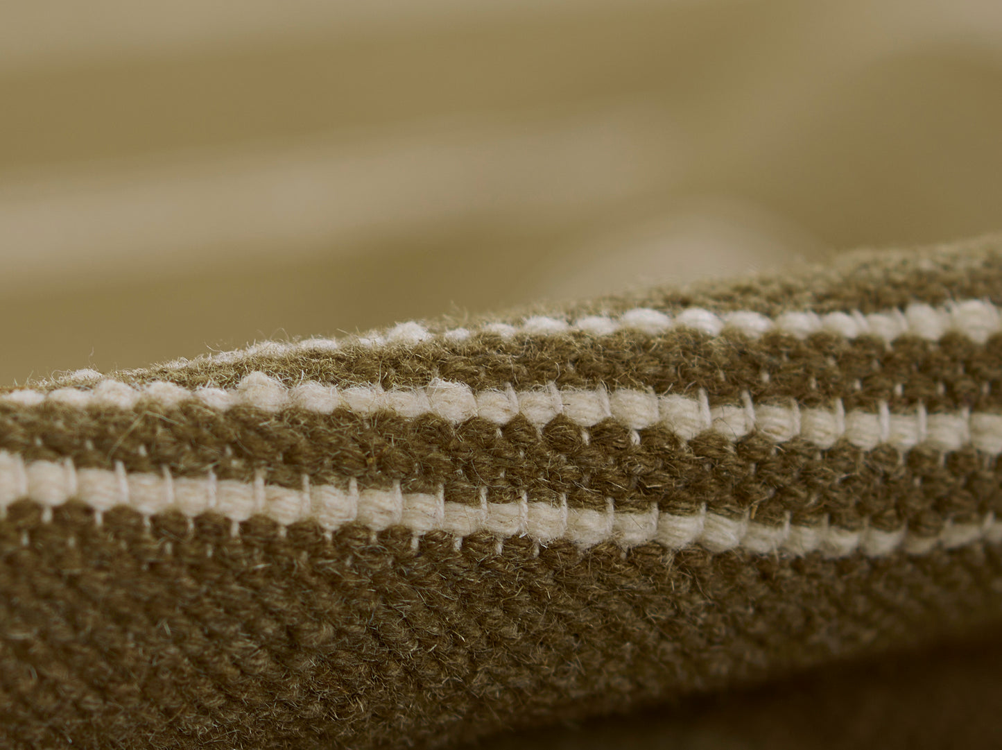 Pure Salt Caseres  Green  Contemporary