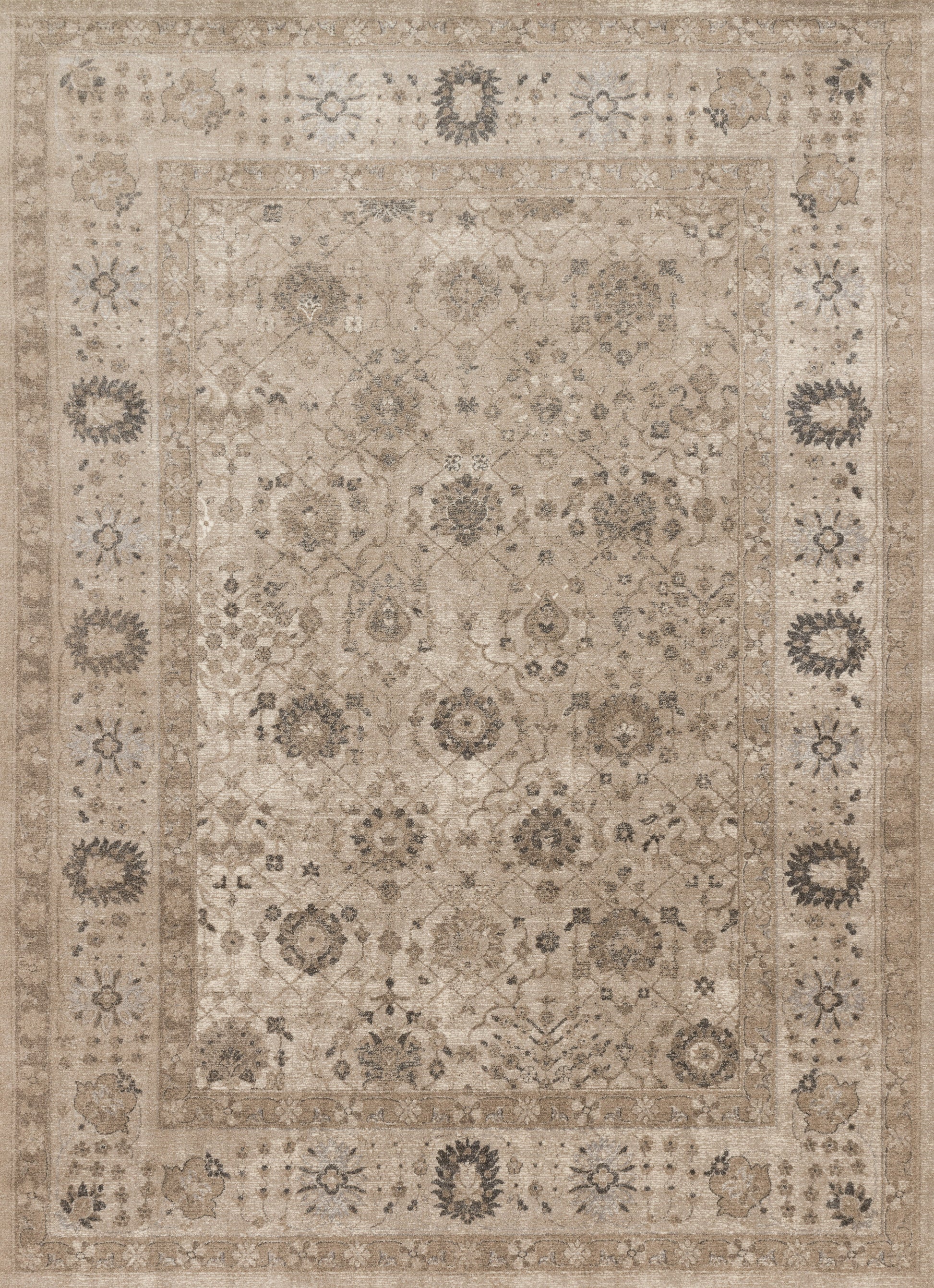 Loloi Century  Taupe Taupe Transitional