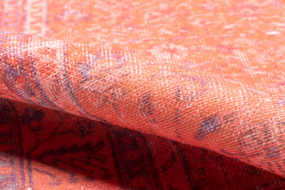 Momeni Chandler  Coral  Traditional