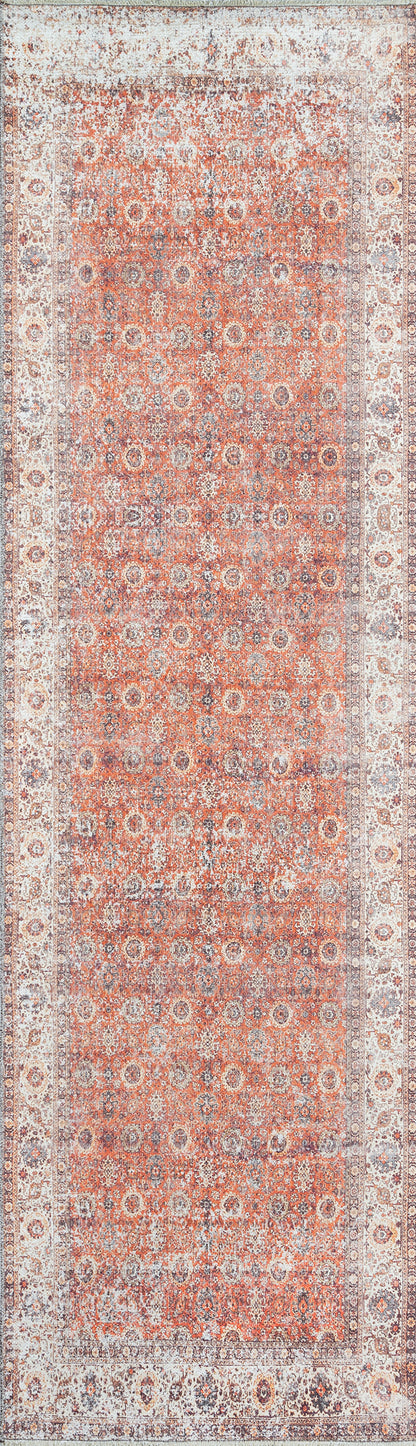 Momeni Chandler  Red  Traditional