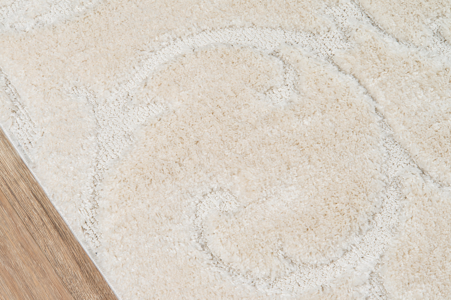 Momeni Charlotte  Ivory  Modern