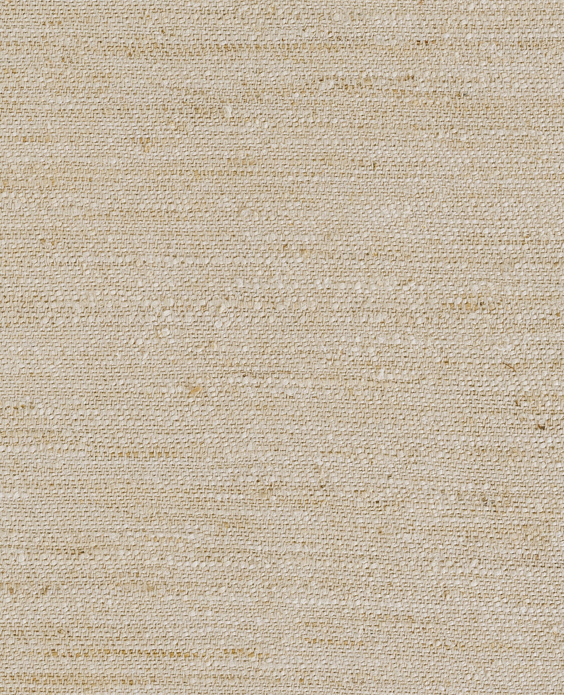 Momeni Clara  Ivory  Contemporary