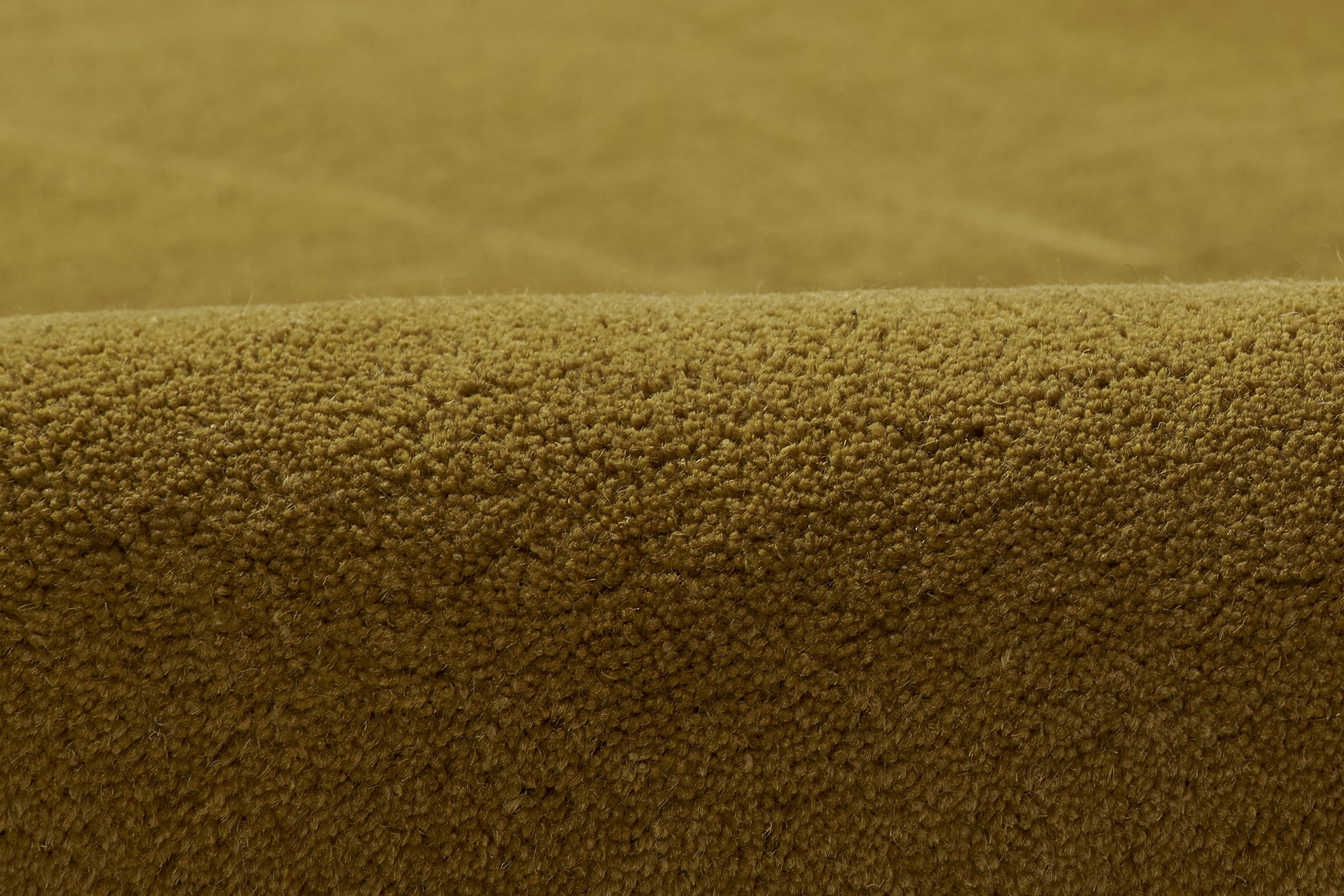 Momeni Claude  Tumeric  Contemporary