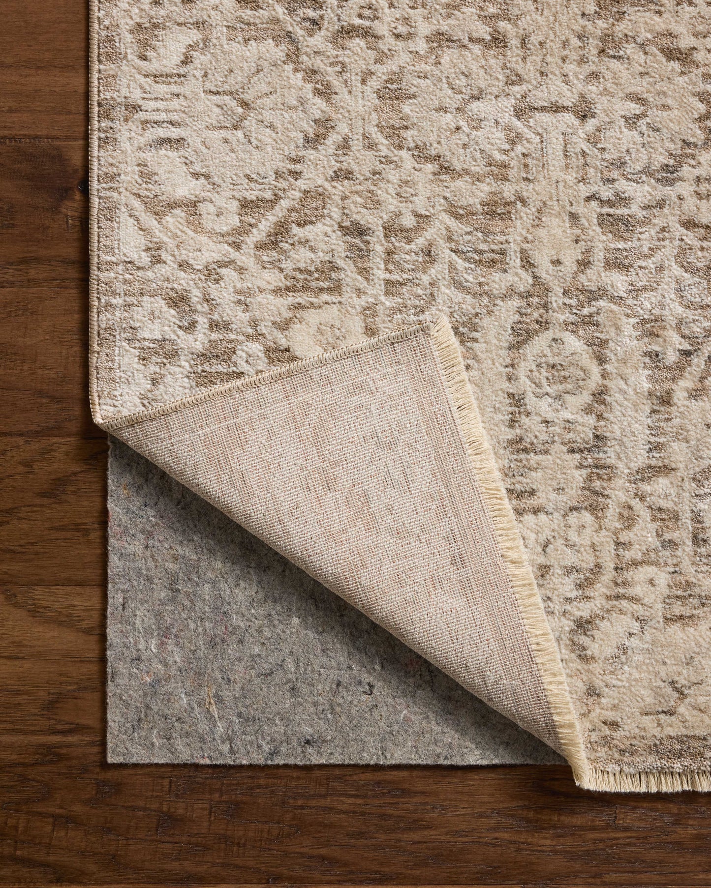 Loloi Clarisse  Fog Bone Traditional