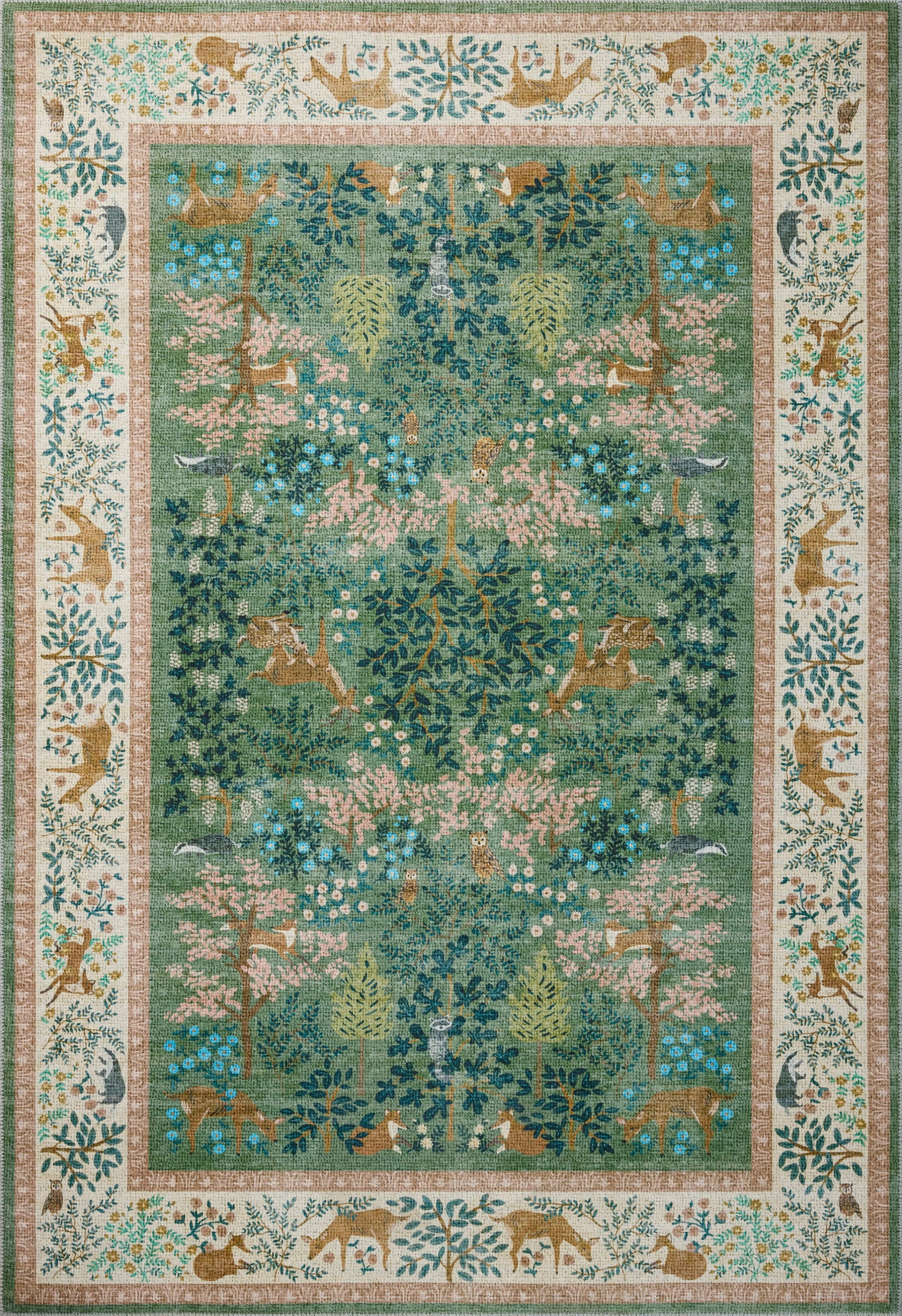 Rifle Paper Co. x Loloi Canopy  Sage Blush Transitional