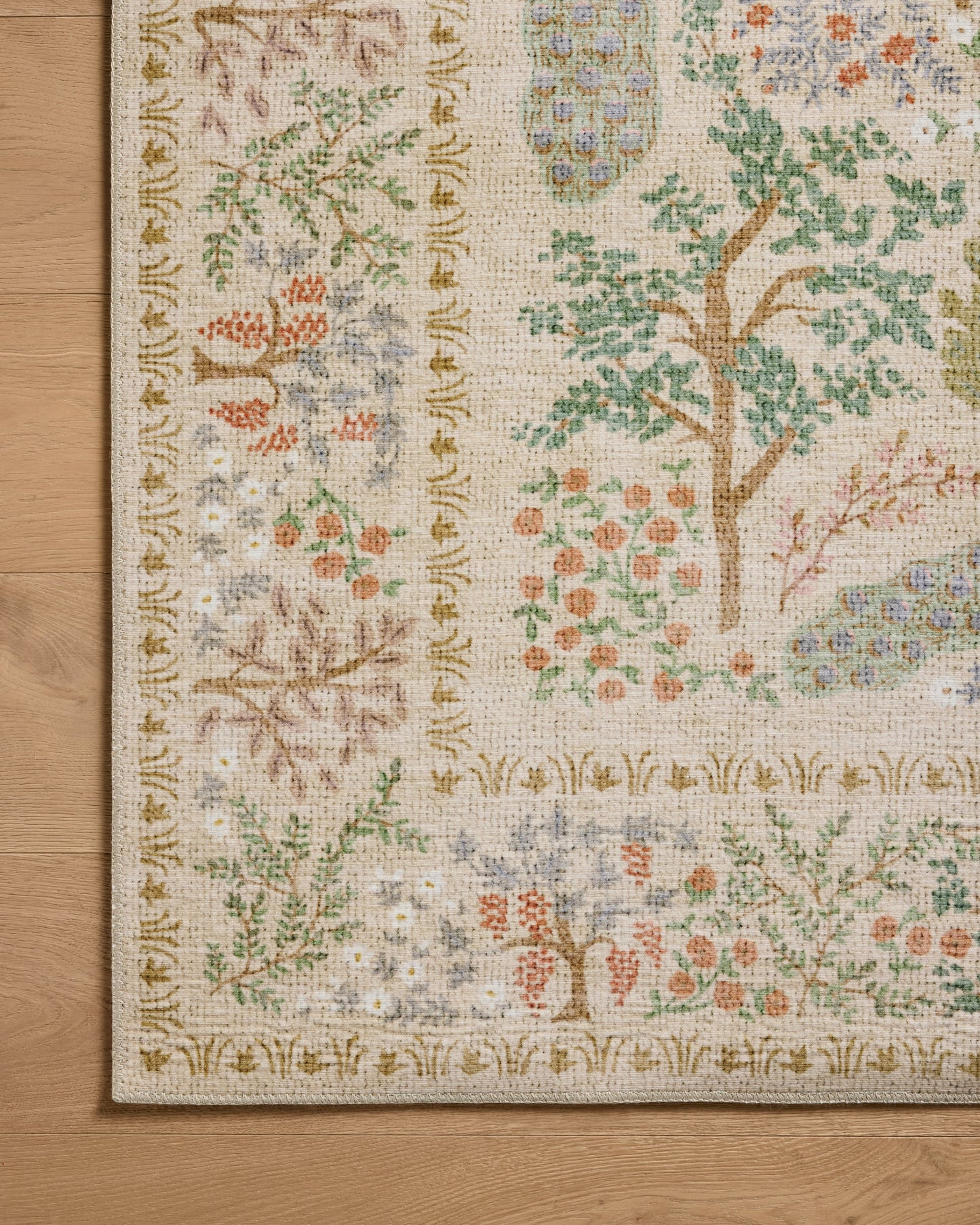 Rifle Paper Co. x Loloi Canopy  Cream  Transitional