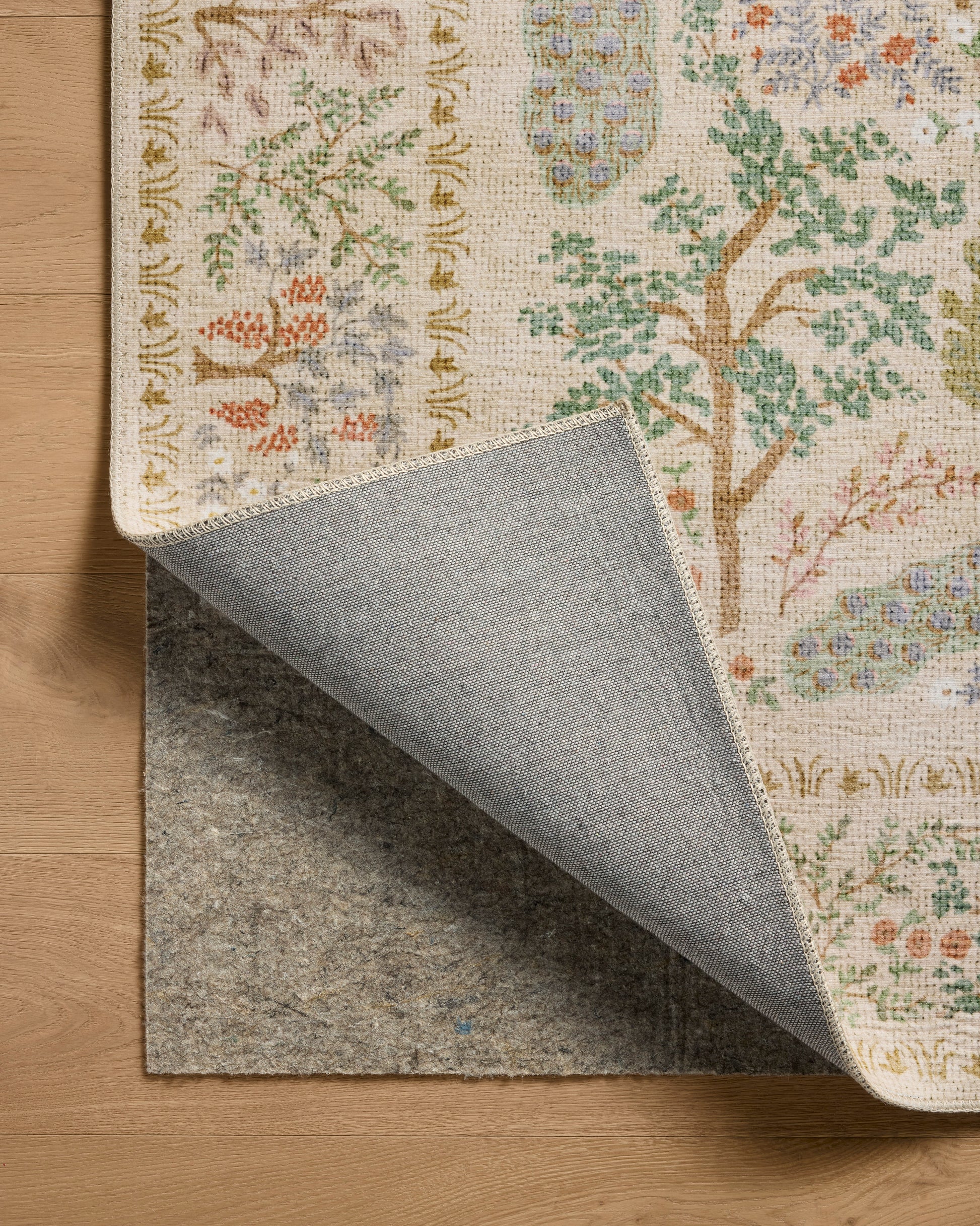 Rifle Paper Co. x Loloi Canopy  Cream  Transitional