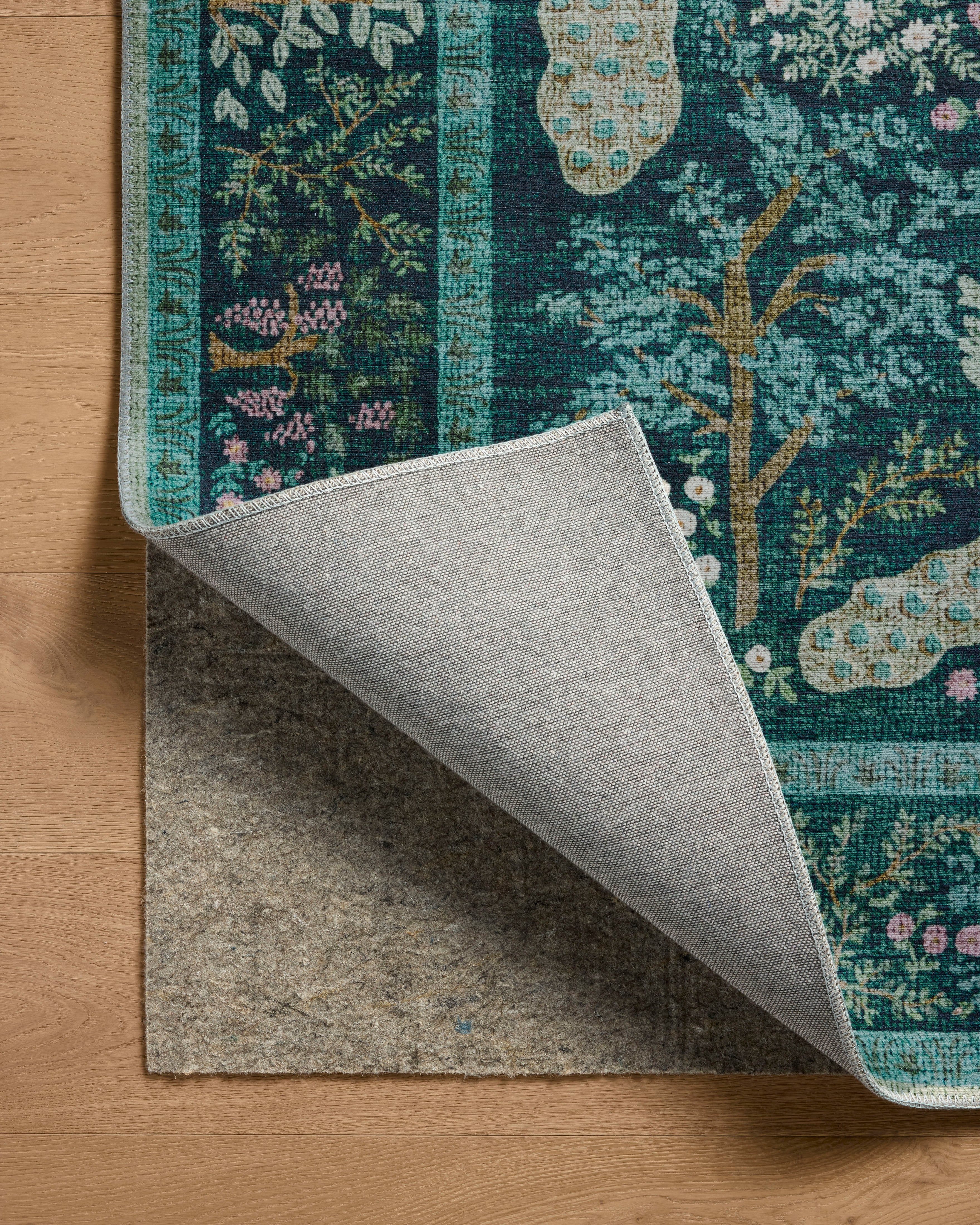 Rifle Paper Co. x Loloi Canopy CNP-05 Teal Transitional Power