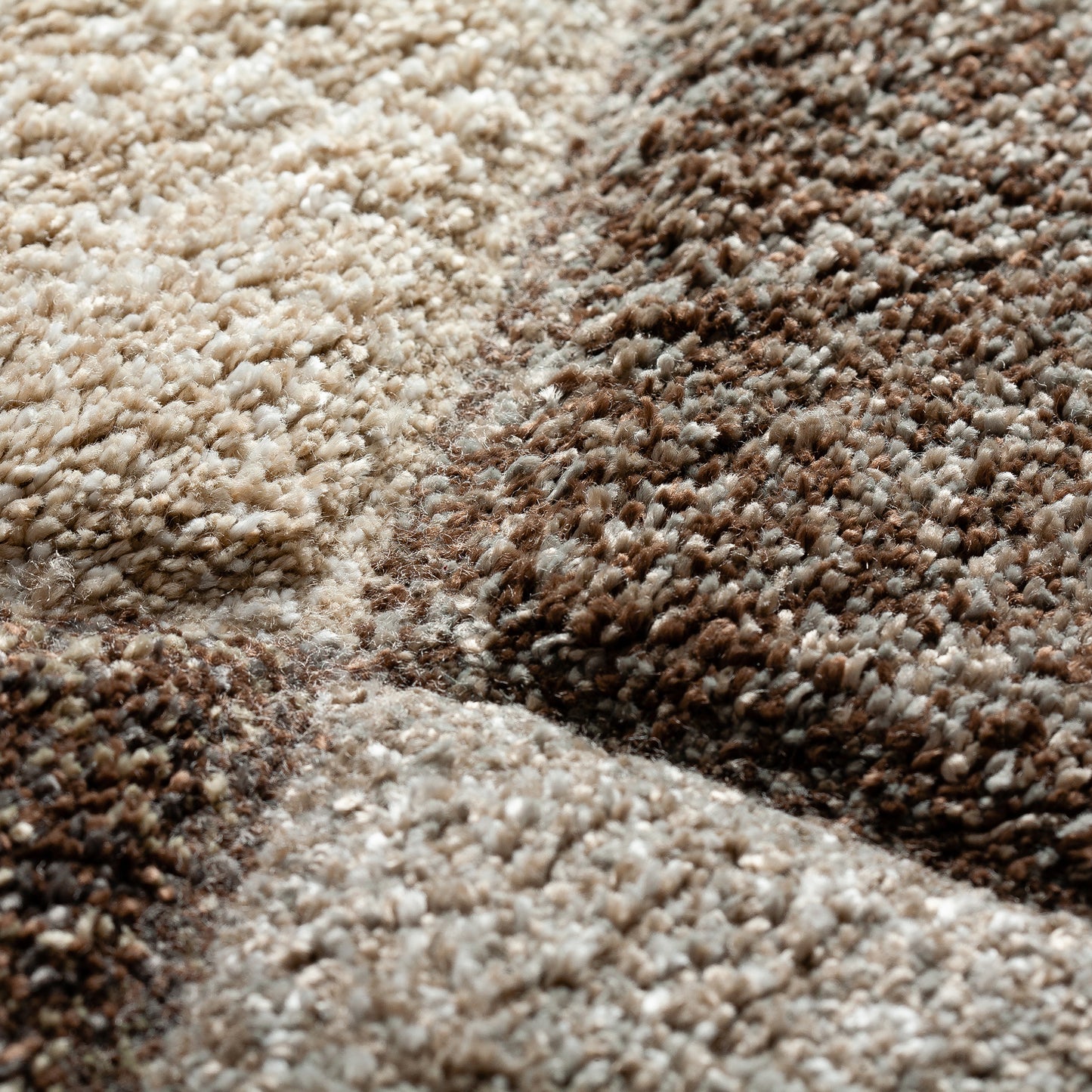 Dalyn Rugs Carmona  Fudge  Transitional