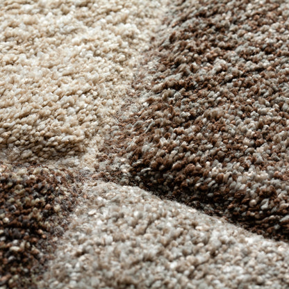 Dalyn Rugs Carmona  Fudge  Transitional