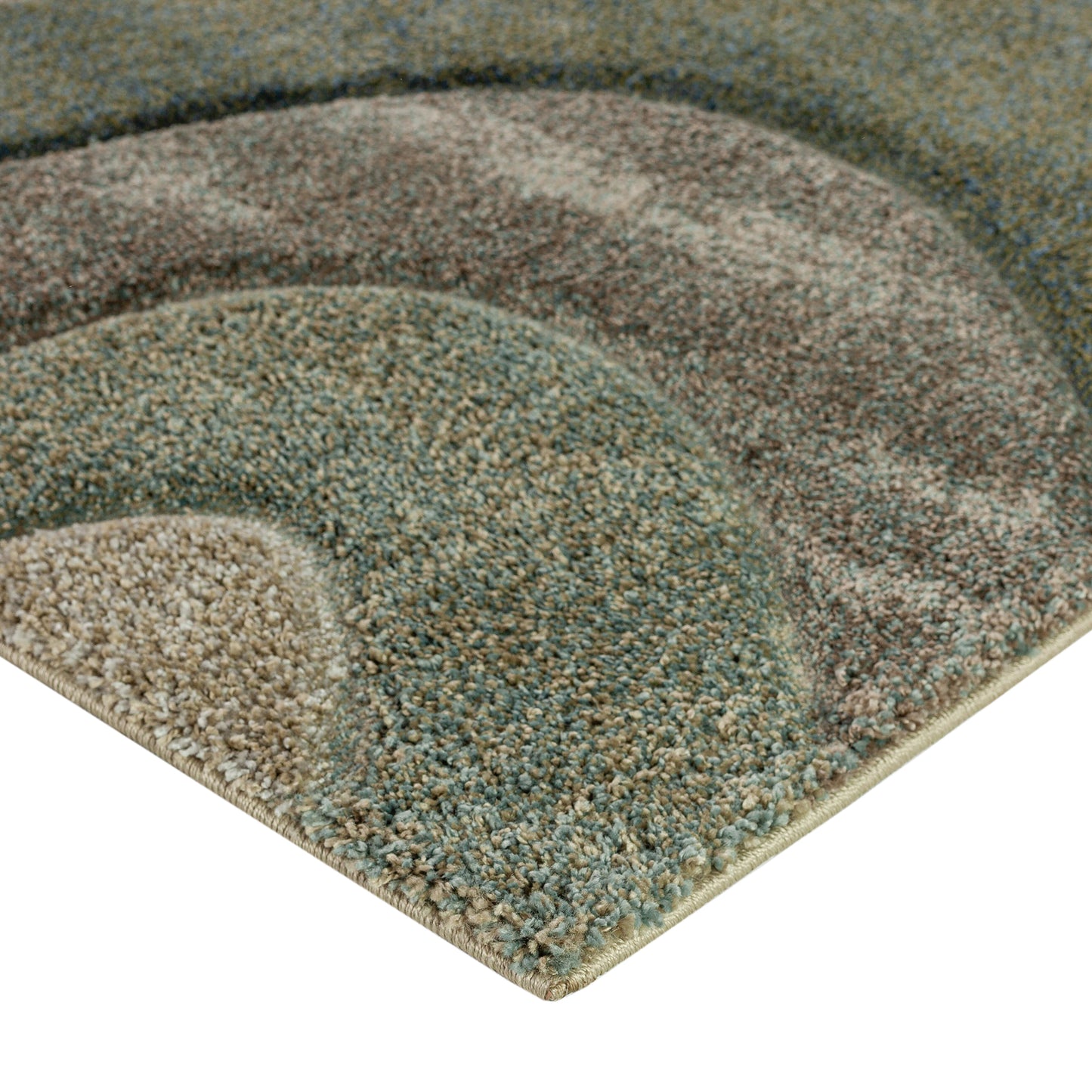 Dalyn Rugs Carmona  Fernway  Transitional