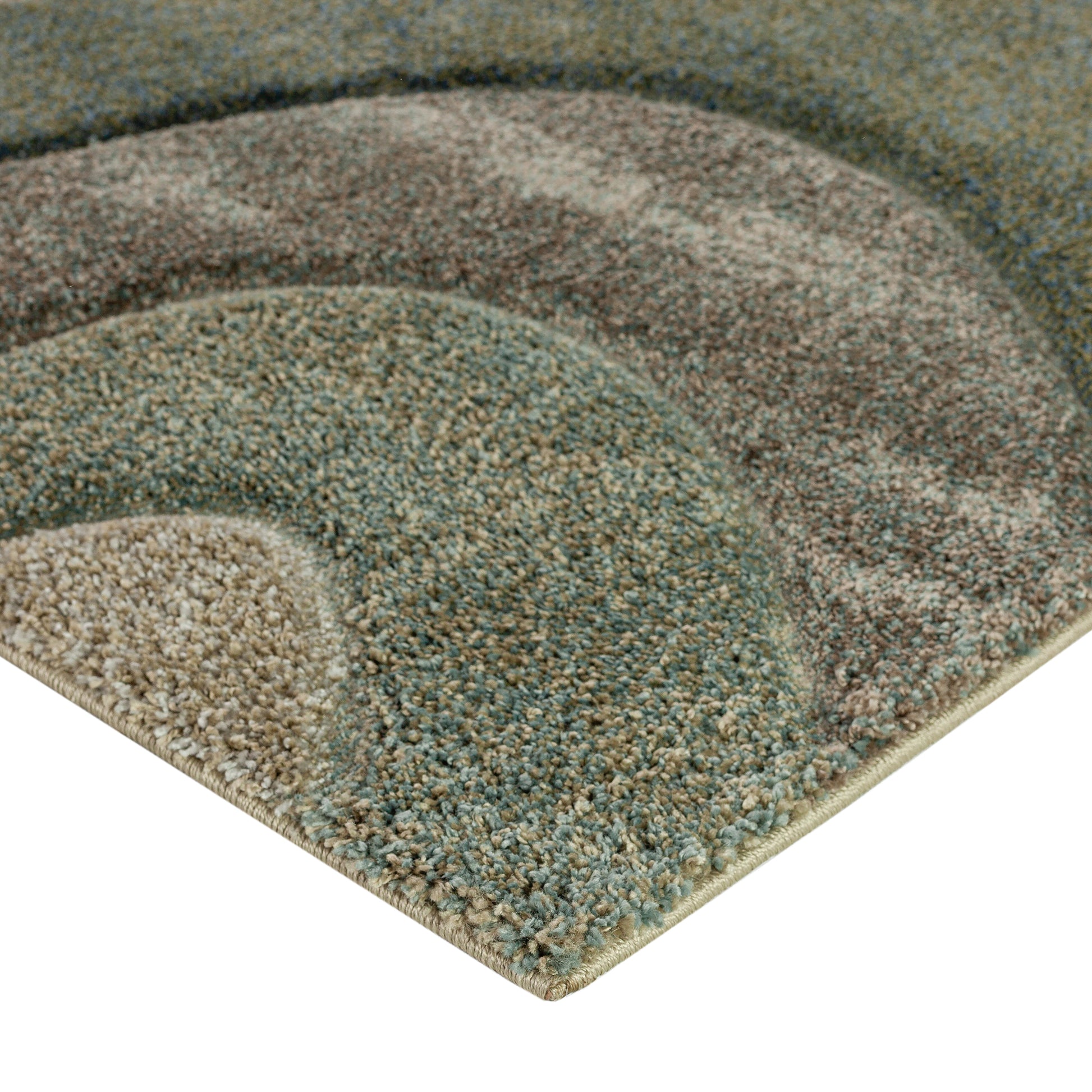 Dalyn Rugs Carmona  Fernway  Transitional