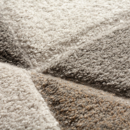 Dalyn Rugs Carmona  Pewter  Transitional