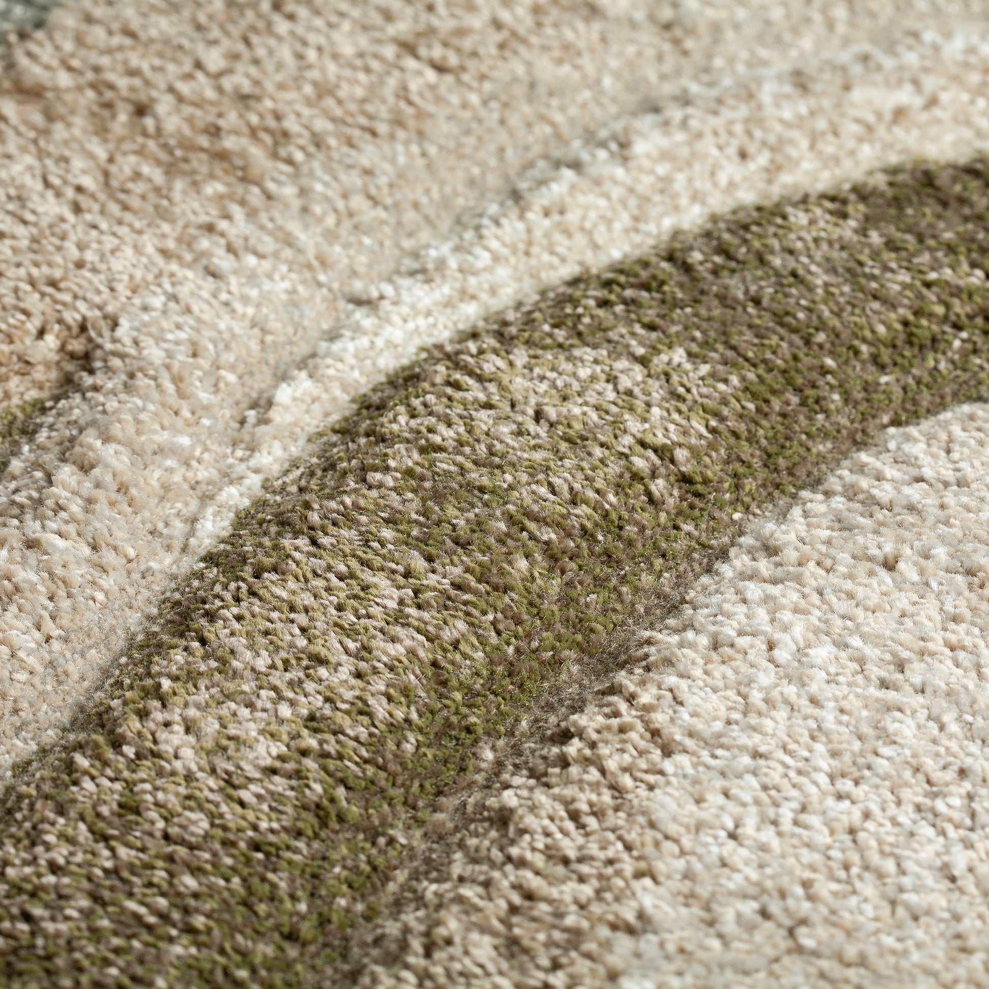 Dalyn Rugs Carmona  Cactus  Transitional