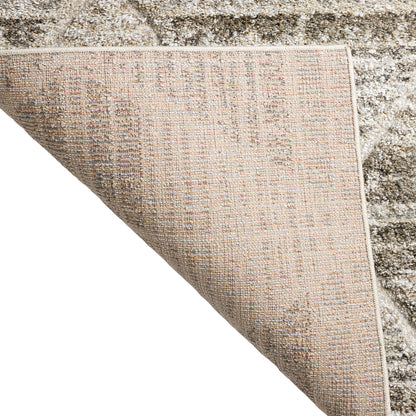 Dalyn Rugs Carmona  Driftwood  Transitional