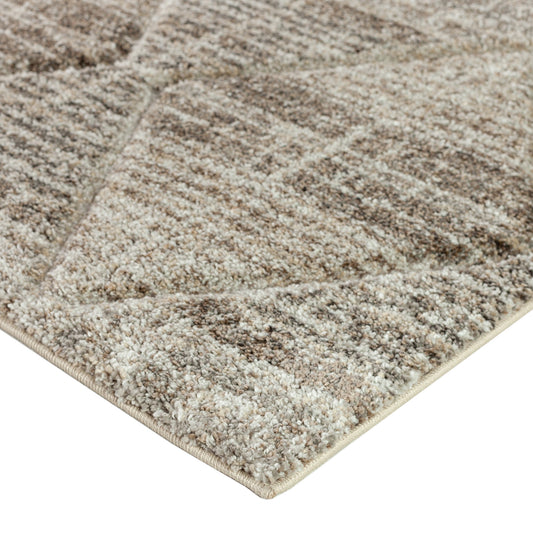 Dalyn Rugs Carmona  Driftwood  Transitional