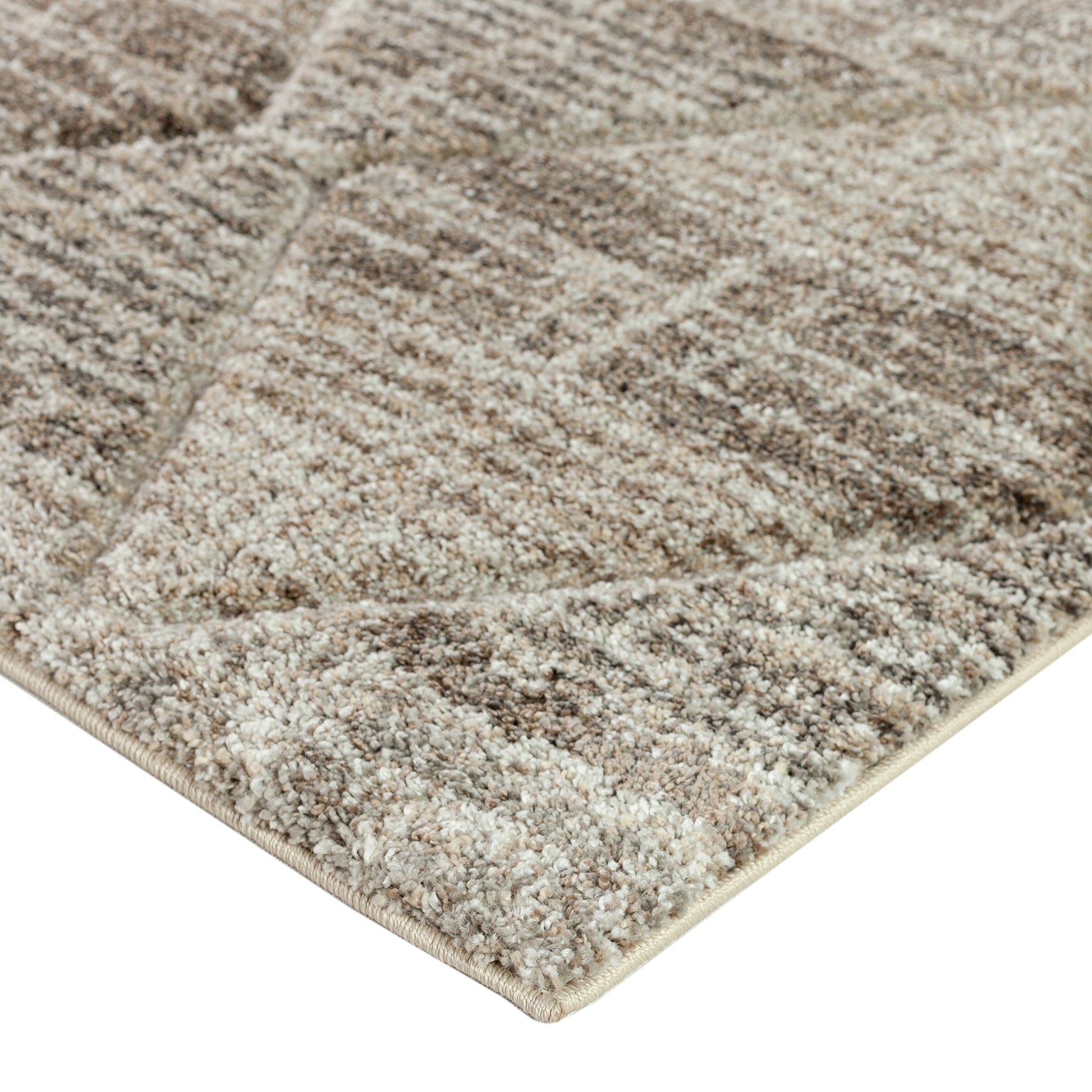 Dalyn Rugs Carmona  Driftwood  Transitional
