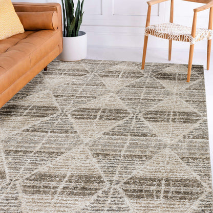 Dalyn Rugs Carmona  Driftwood  Transitional